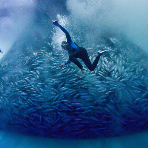 Help Stop Plastic in the Sea - Support the Algalita JUNKride