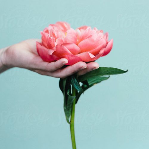 Periods Without Plastic... All Questions Answered