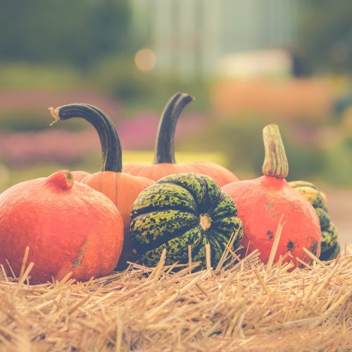 Doing Halloween Without Plastic