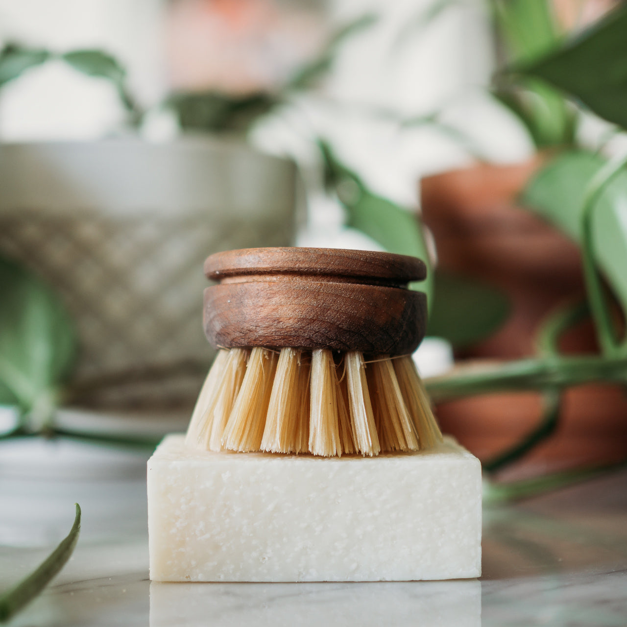 Dish Soap Bar - Plastic-Free All-Natural