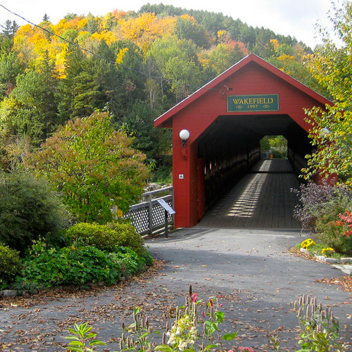 Cheering for Fair Trade and Plastic Bag Free Town with a Hot Guy!
