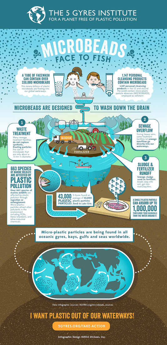 5 Gyres Face to Fish Infographic