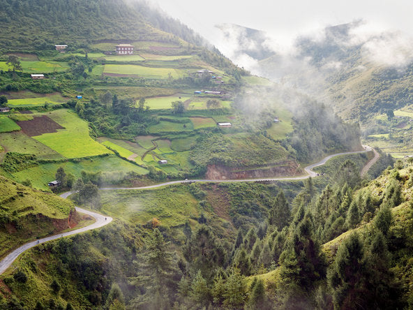 Does Less Plastic Mean More Happiness?