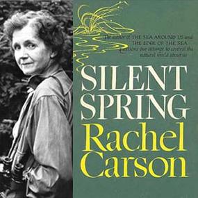 A New Silent Spring?