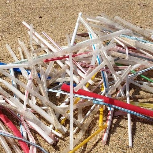 OneLessStraw toward One More Generation – Life Without Plastic