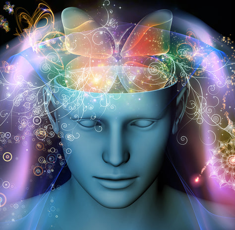 What Does Brain Science Have to Do with Sustainability and Plastic-Free Living?