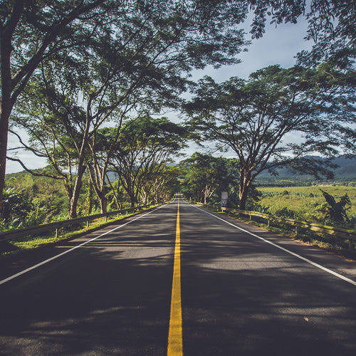 A Plastic Hummer or a Plant-Based Prius?