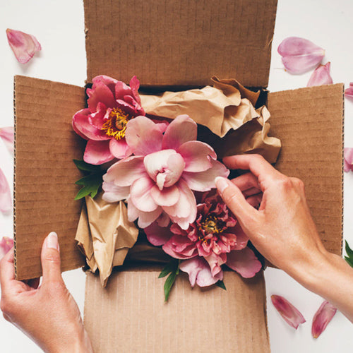 Top 10 Plastic-Free Gift Ideas in Containers - You Won't Be Able To Contain Your Excitement!