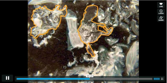 youtube video preview