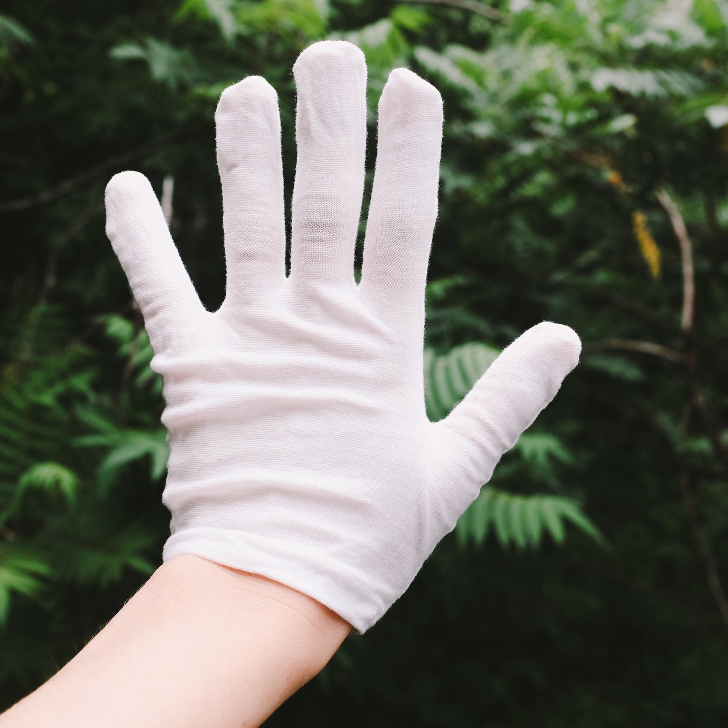 Small Cotton Gloves