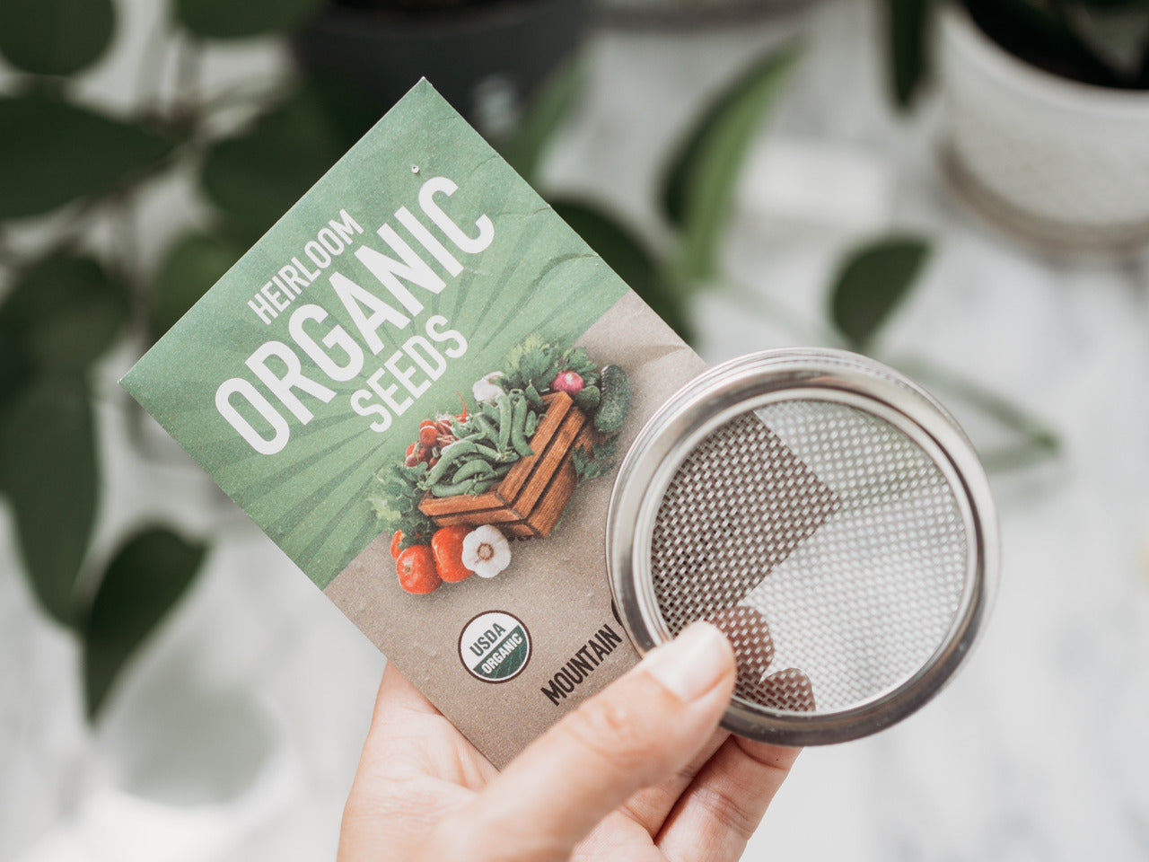 Stainless Steel Sprouting Lid and Ring for Regular Mouth Mason Jars - Bundle of 2